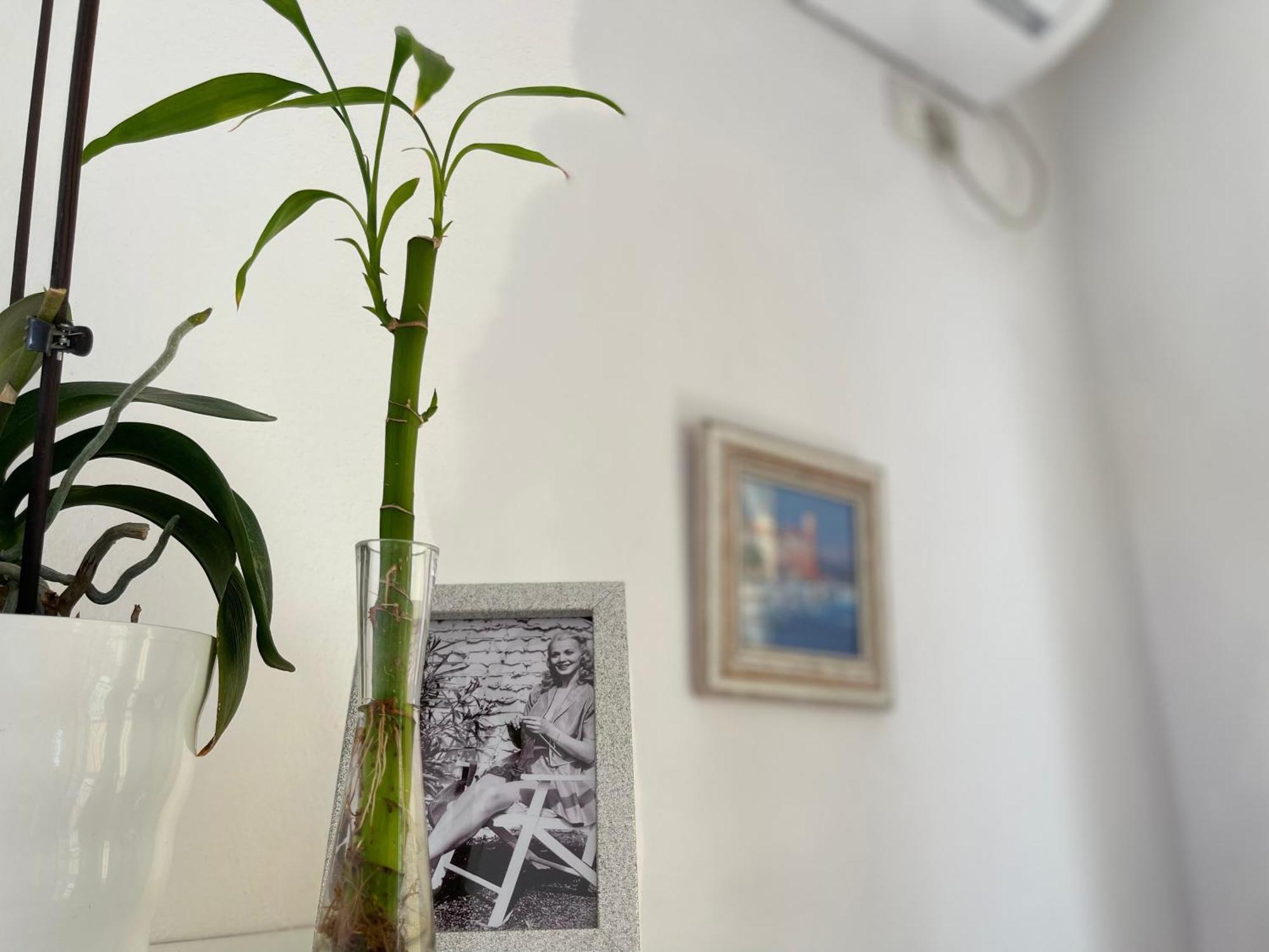 Kristi Apartment 2 Min To Sea Netflix & Espresso Station Sarande Ngoại thất bức ảnh